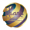 Liliane Trading International