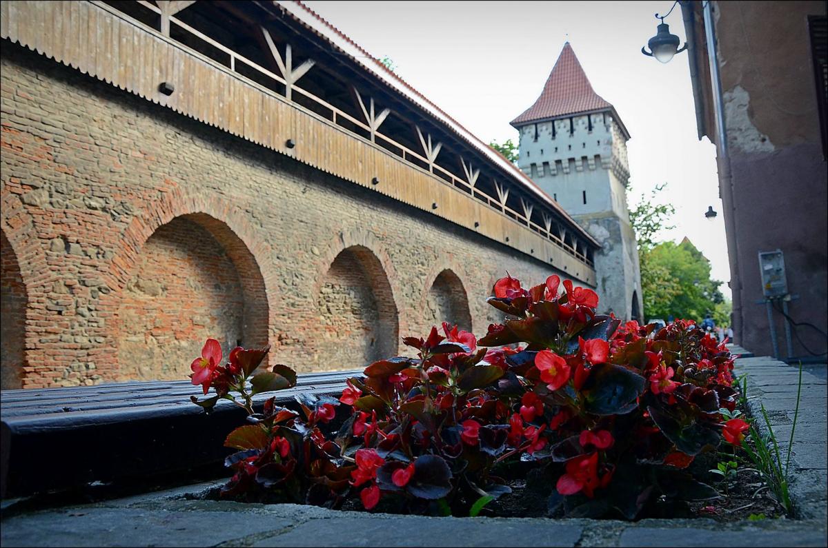 19780572_1362384903796977_1419772561525008576_o