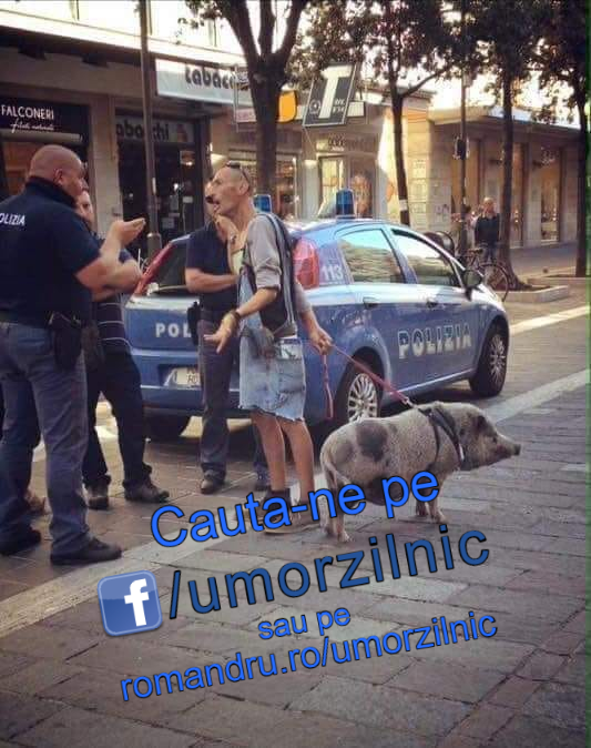 91438334_2376551549303120_489645719355916288_n