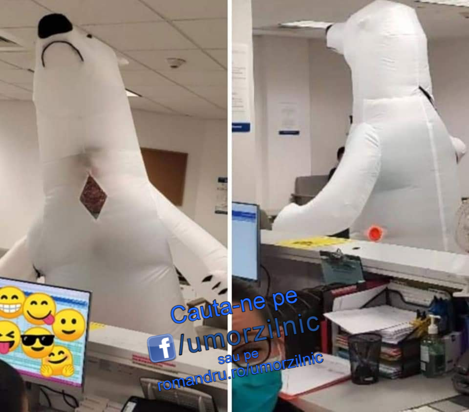 91982127_1597072887097329_6783985605211586560_n