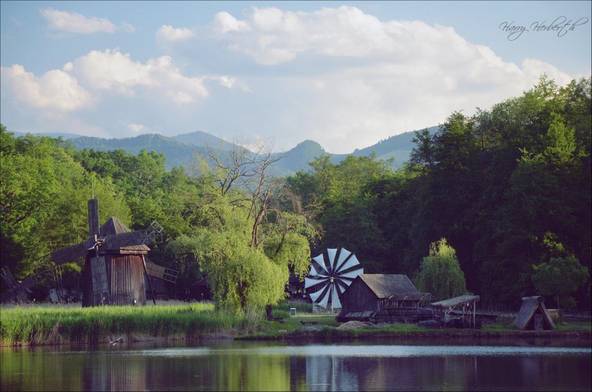 32294214_1650009835034481_6454717808684040192_o