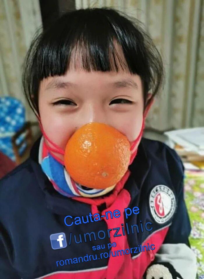 image-mLJtOTMvDCp7YRHL