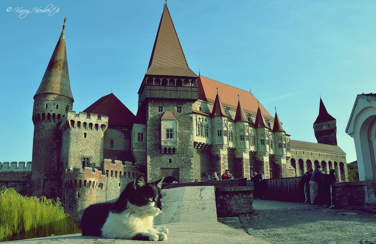 36395621_1706429819392482_7961287641998032896_o