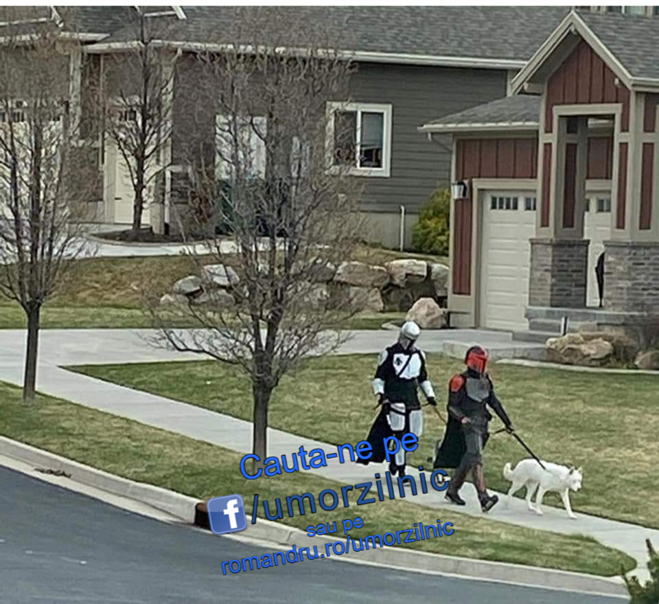 91833995_1597072913763993_6978514664141357056_n