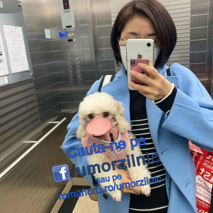 image-AyT20jP4uoYODQtk