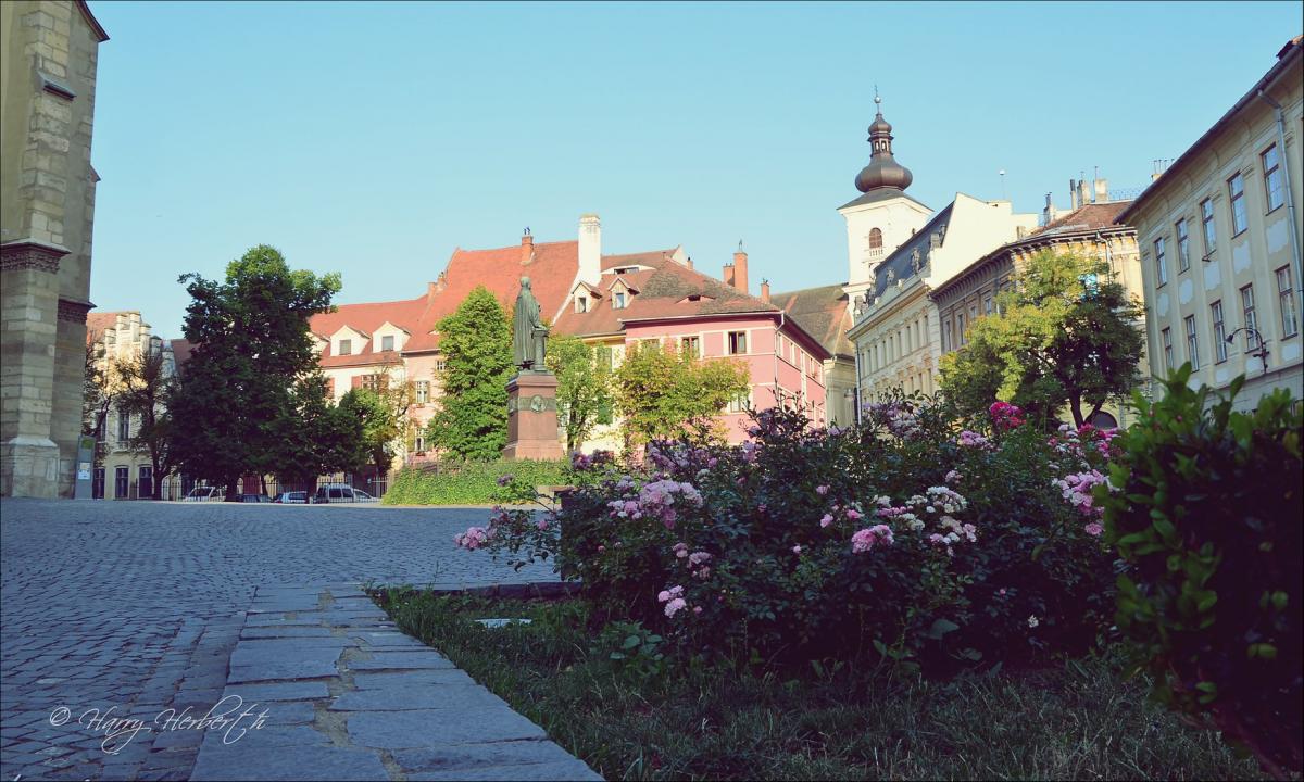 36570909_1706696726032458_6690603872211173376_o