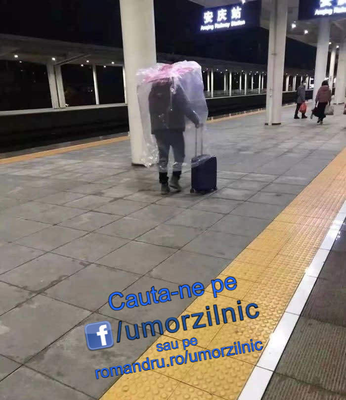 image-Y6Mzl4P1lZ6P6G3d