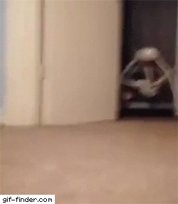 tumblr_54020dda5146062333b319782a8b13b7_b0a494b4_250