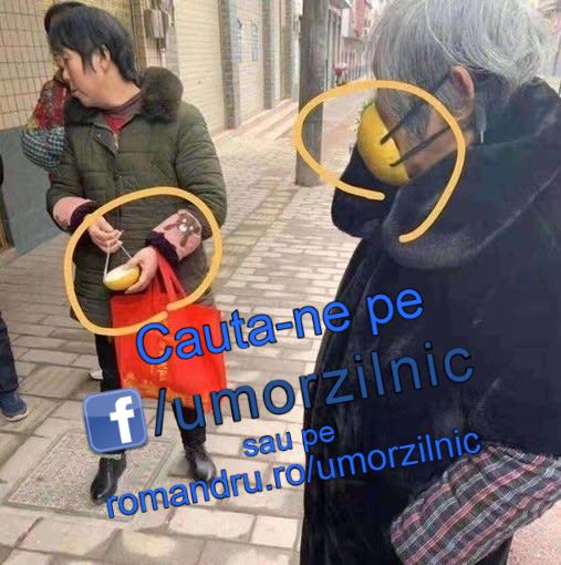 image-q13oN9yV23oq0Ovw