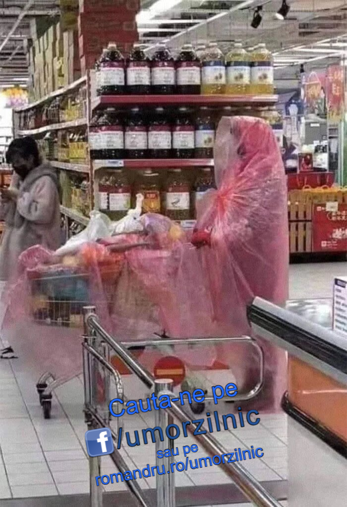 image-TeL7KBbI4nz449bG