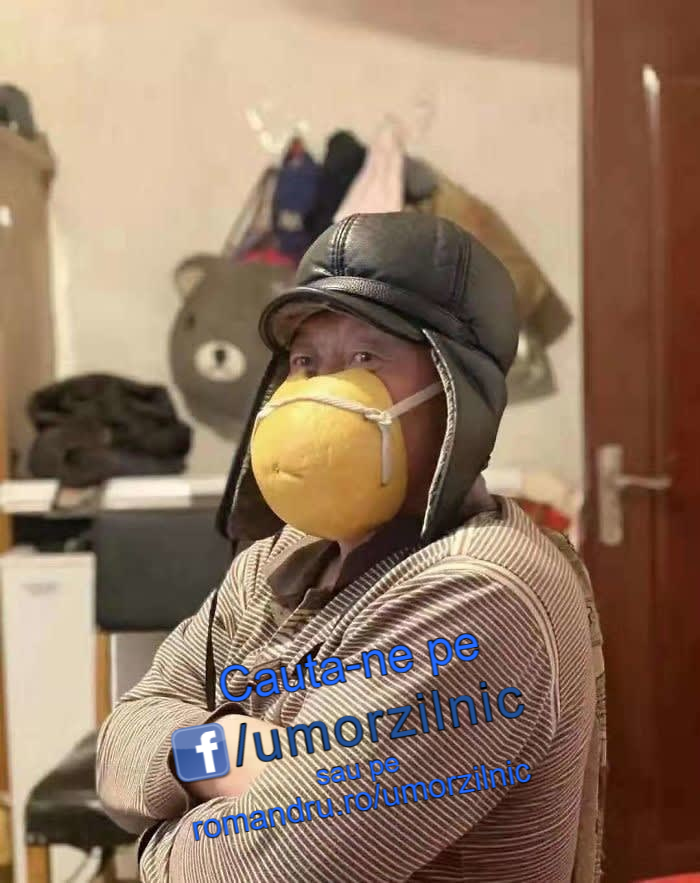 image-TTO7g4MhynVApzEO