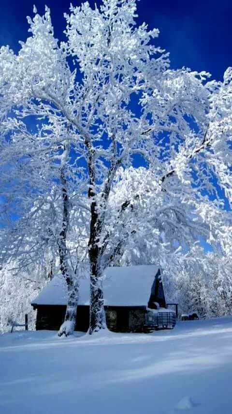 25550400_1510548749066737_4862358577184260999_n