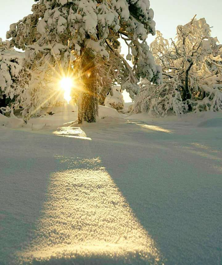 24296563_270594216799712_6471535070633909220_n