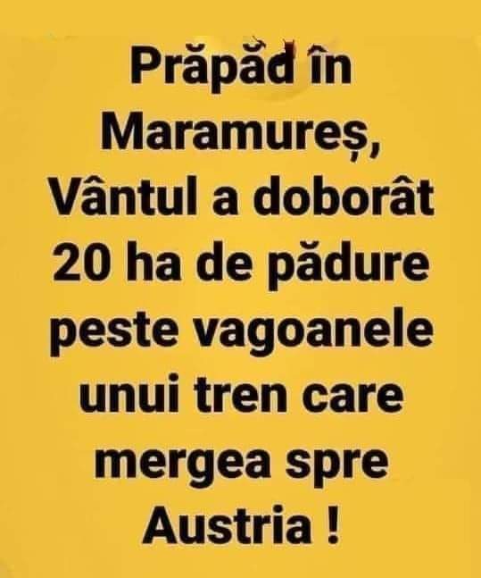 FB_IMG_1621752023059