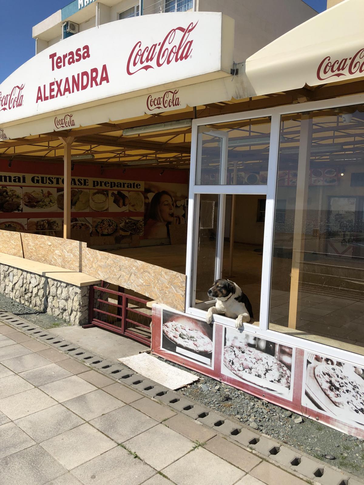 8AD93A5B-592B-4E63-8049-69EF4007E8DD