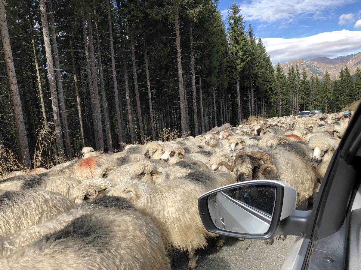 08A8DE15-54B1-4B0A-A08D-7A1F6880F1C1