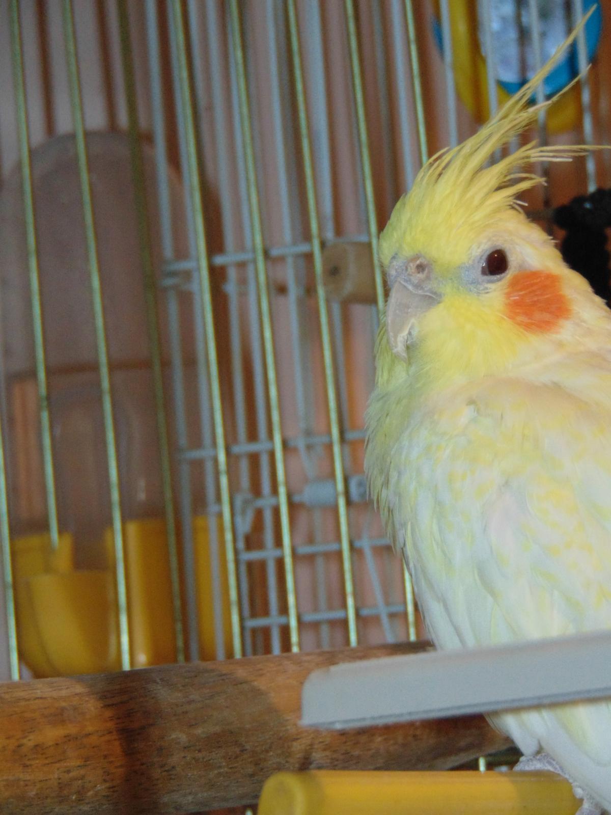 186893108_293122202457740_5998207272354787927_n