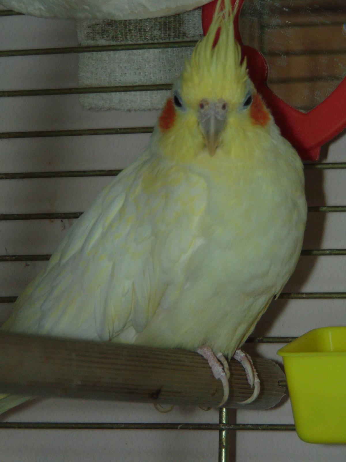 187017954_547330303089938_2015995667380584341_n