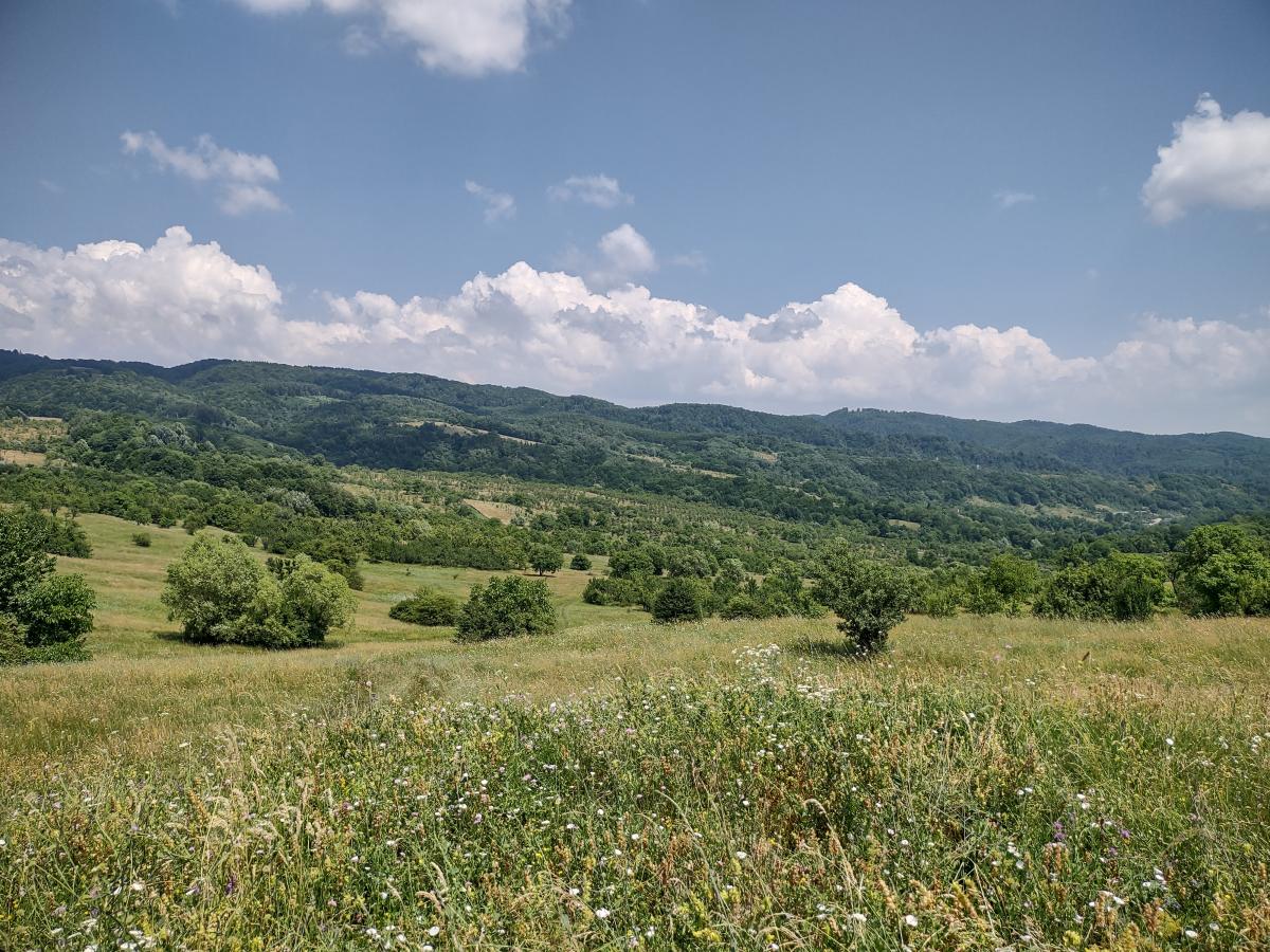 IMG_20210718_125317570_HDR