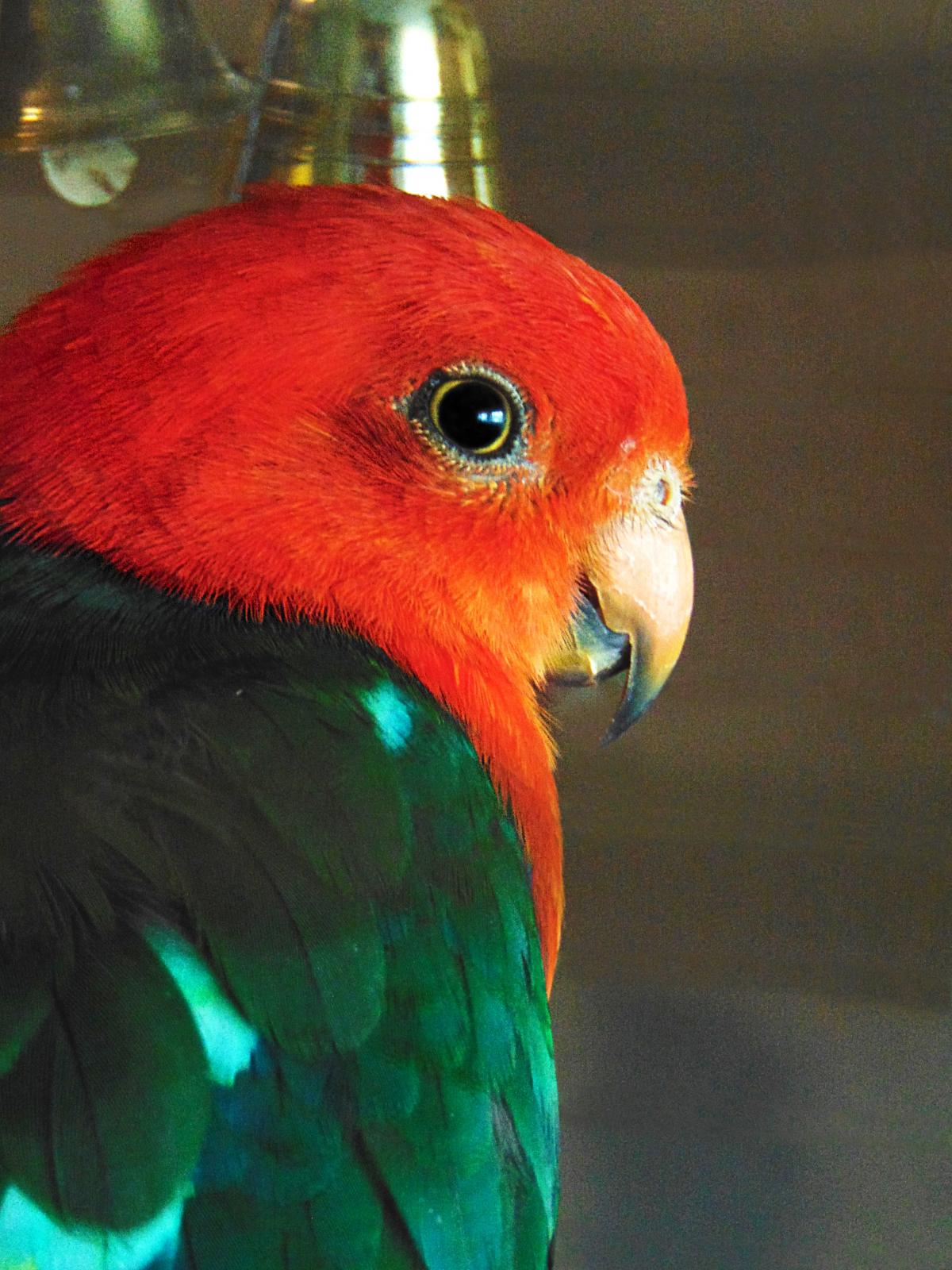 186480997_144941804284382_2388280624222281264_n