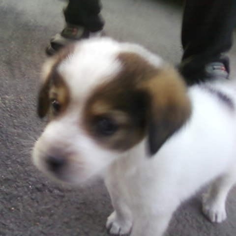 98329509_104065977991955_8135322448431153152_n