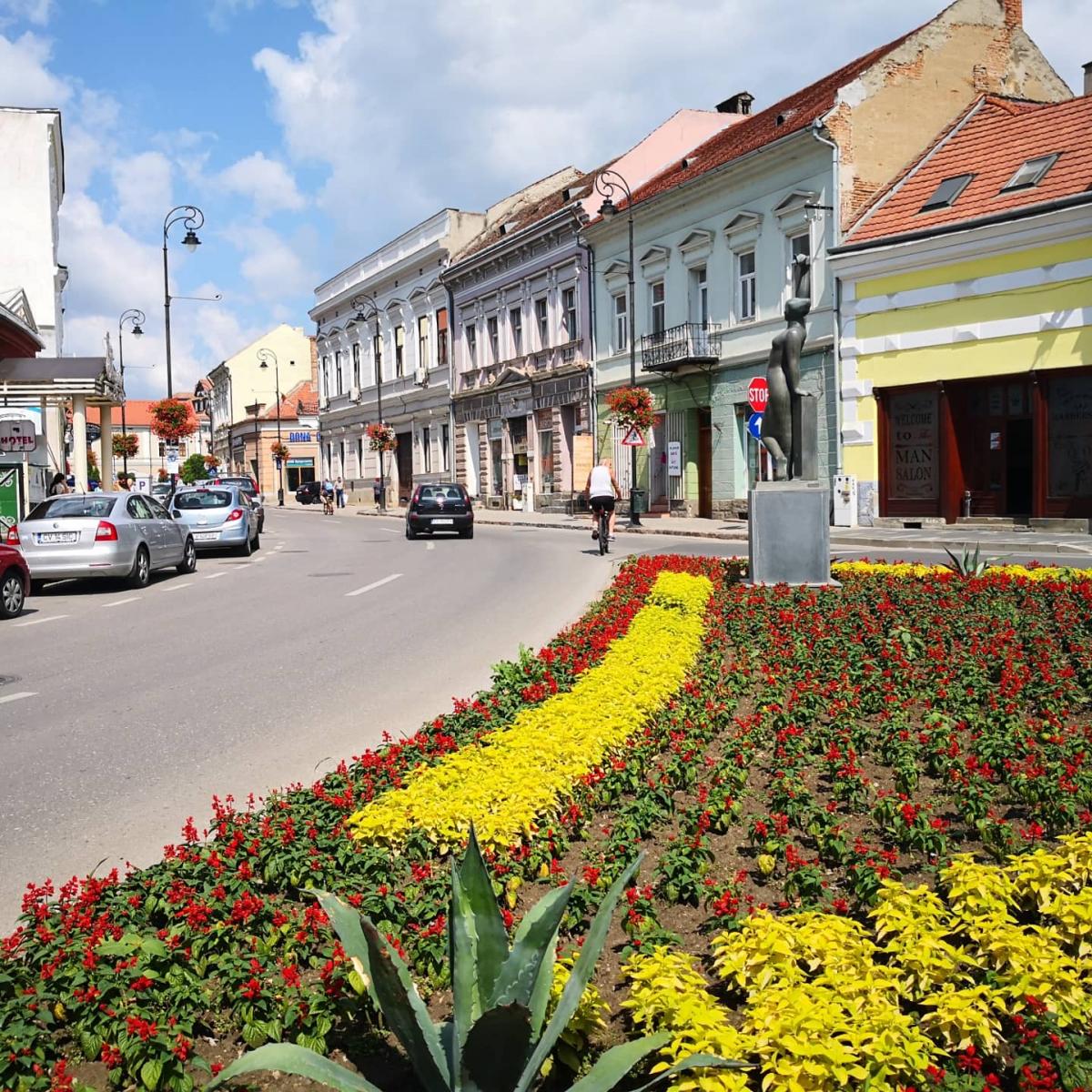 IMG_20210723_133339_826