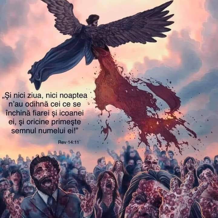 FB_IMG_1630226417025