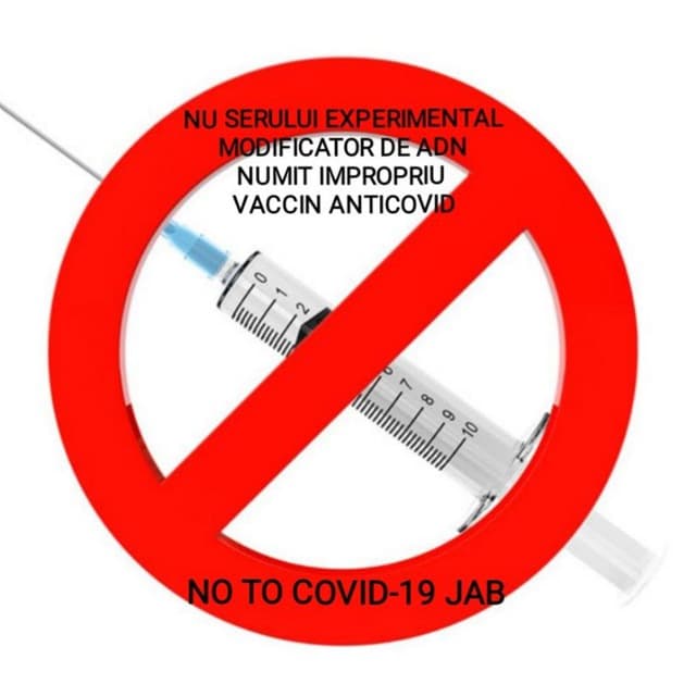 photo_2021-08-05_21-45-08