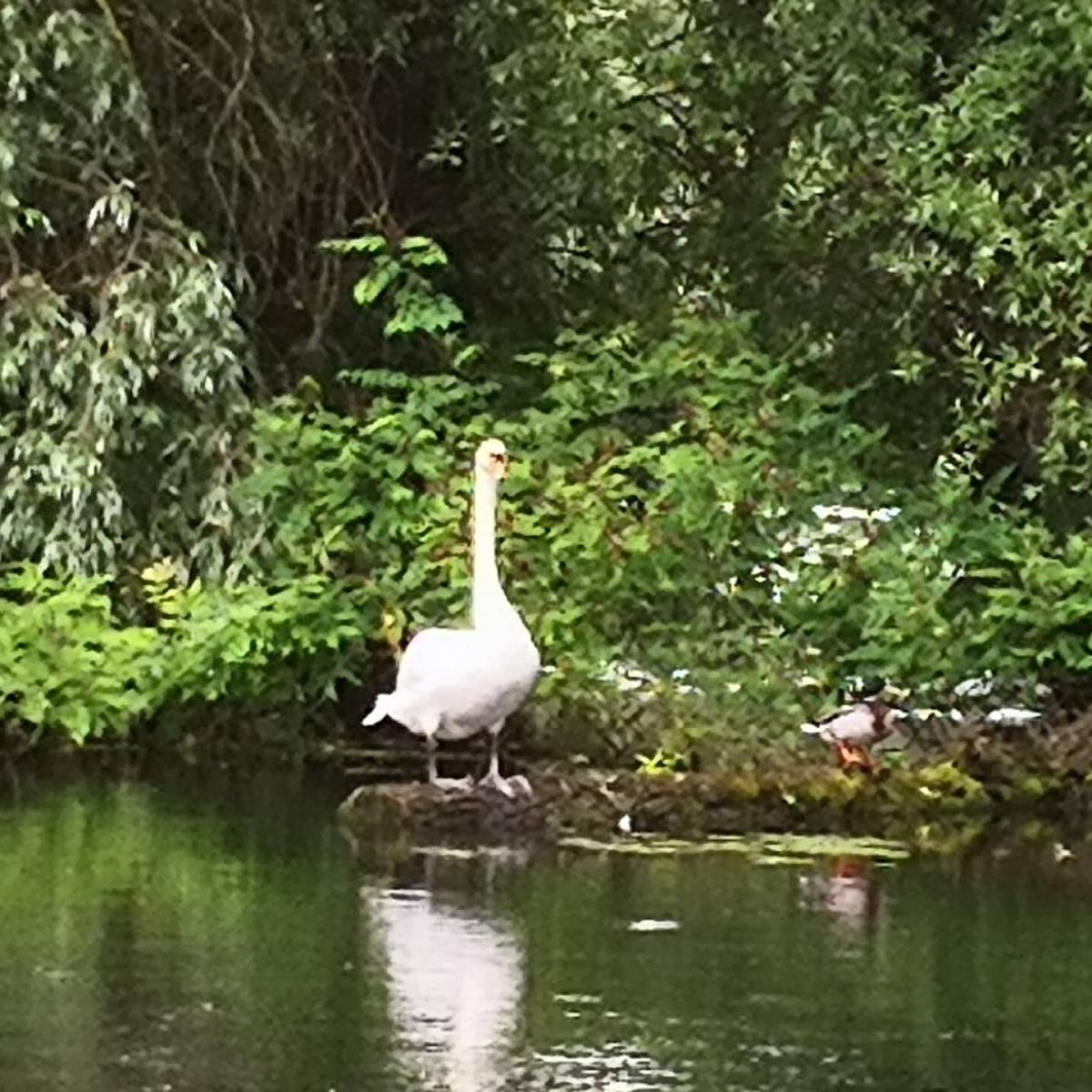 IMG_20210613_155006_162