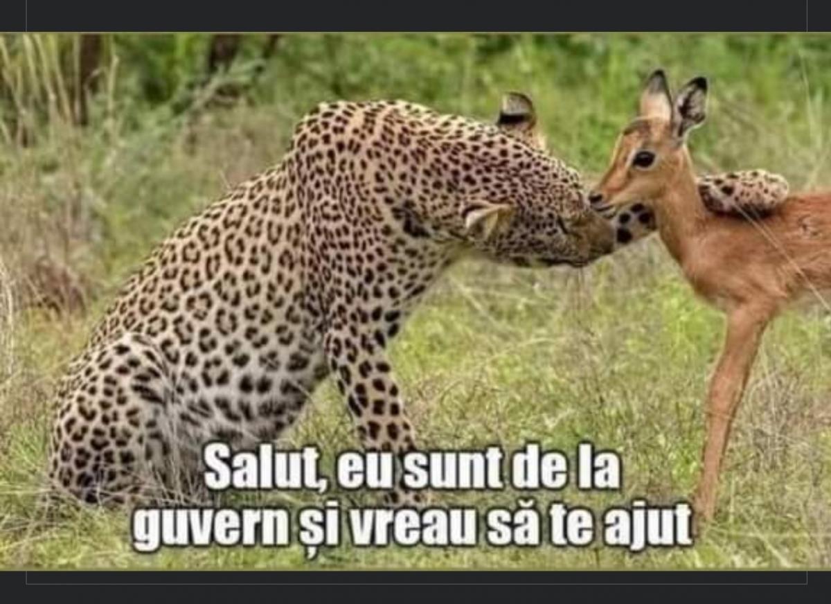 Screenshot_20210821-212535_Facebook