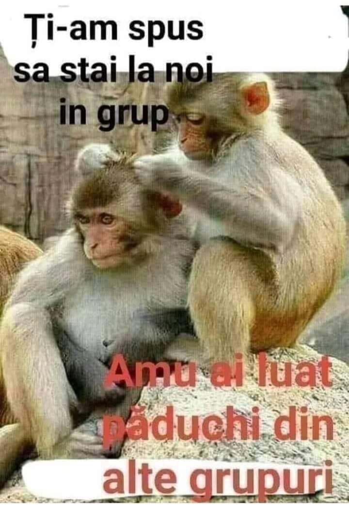 238535004_1982243618589866_5741236897489971970_n