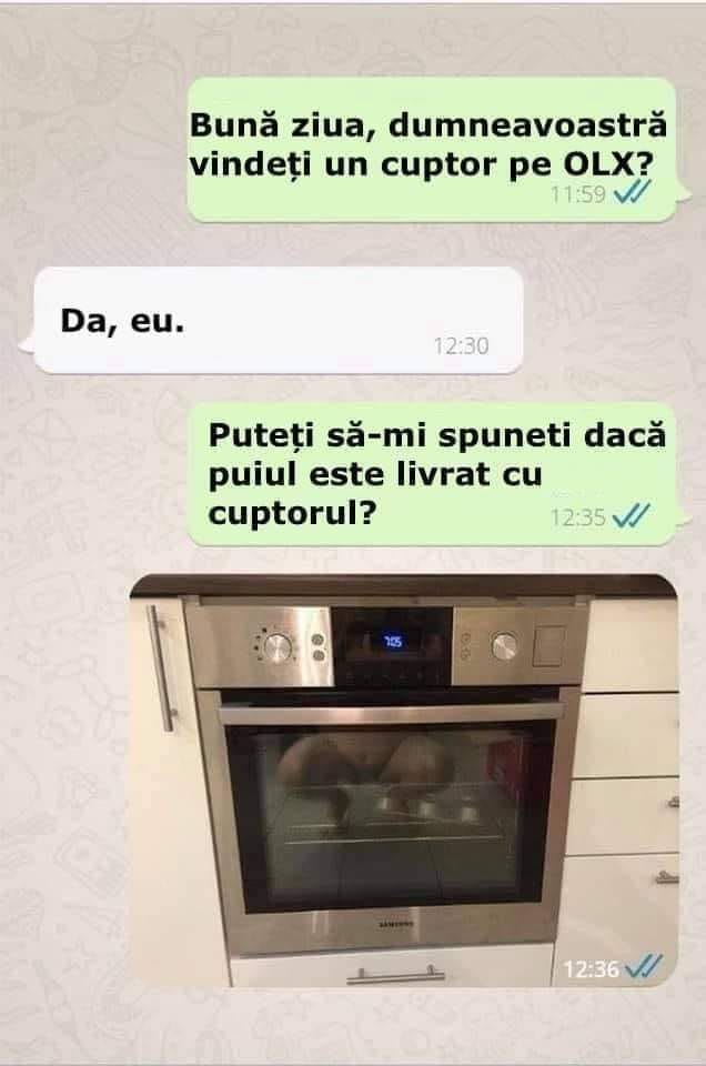 240055929_4565643133467033_385343648144298952_n