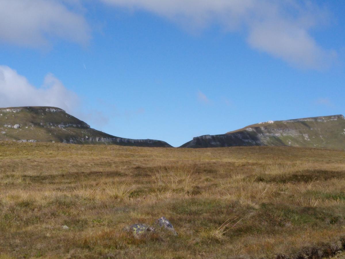 IMG_20210904_121517864