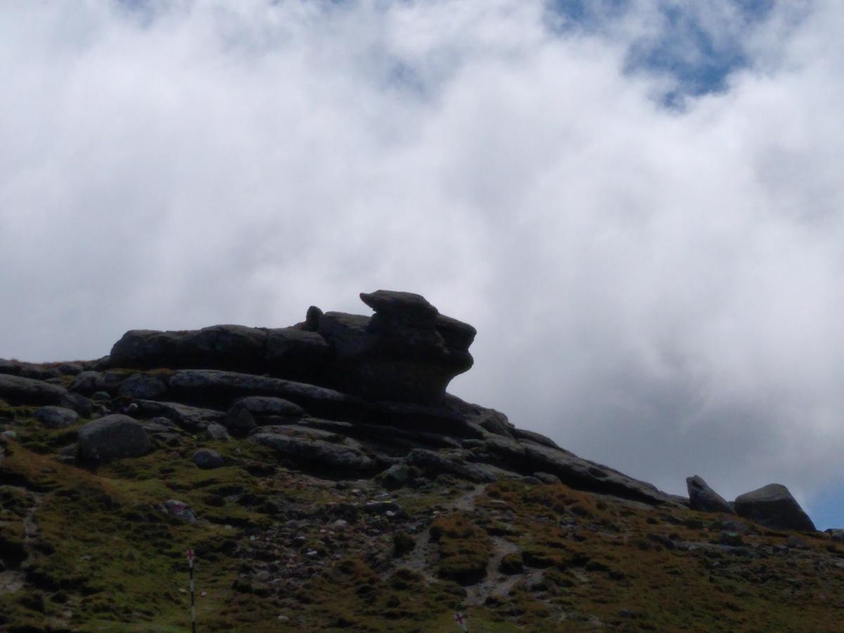 IMG_20210904_125044958