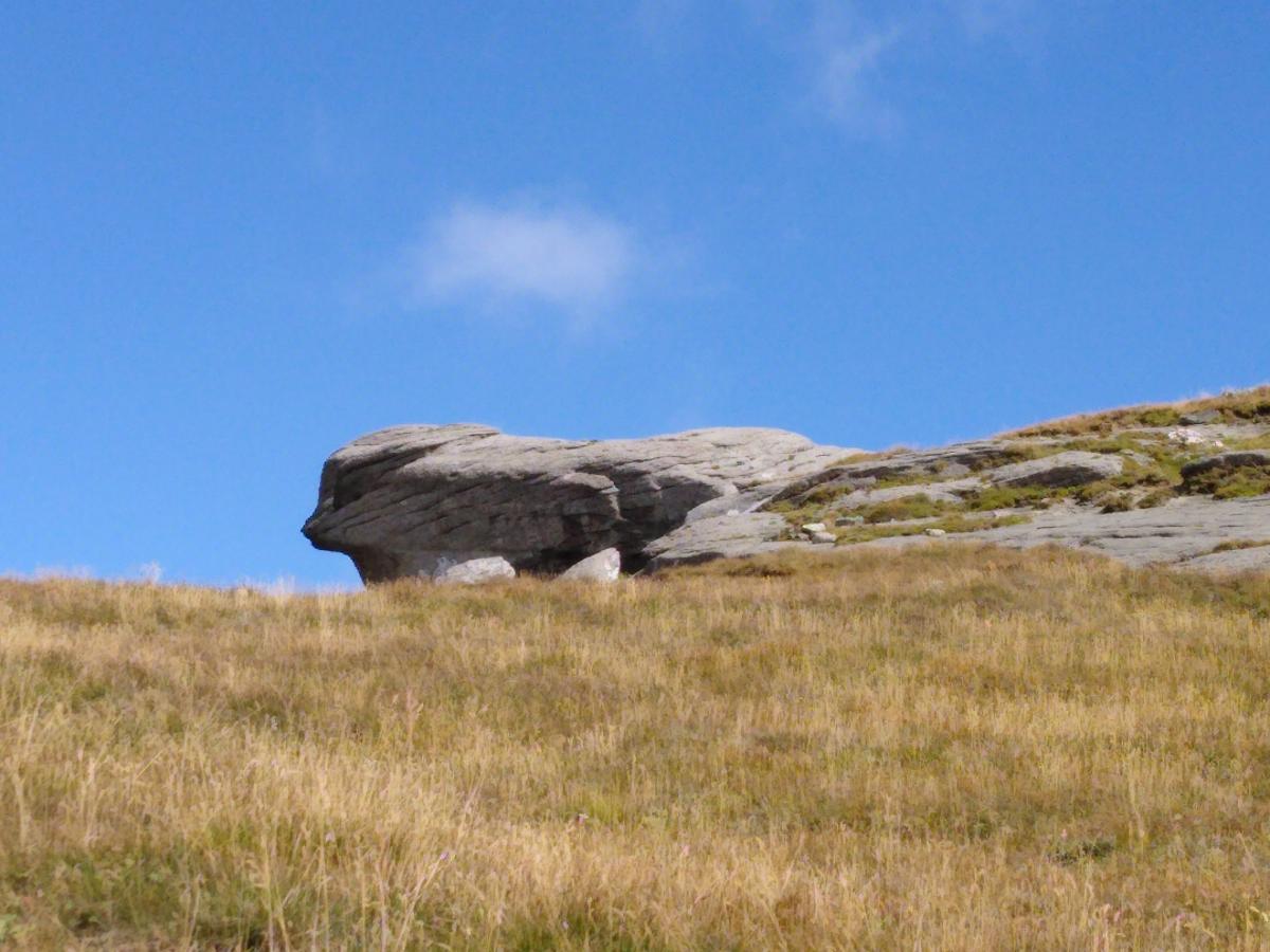 IMG_20210904_124402436