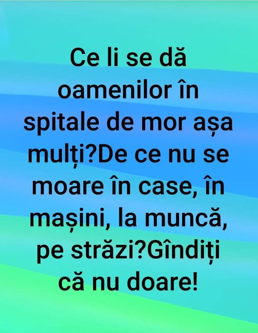 173624118_3128704554082512_4596996863587826395_n