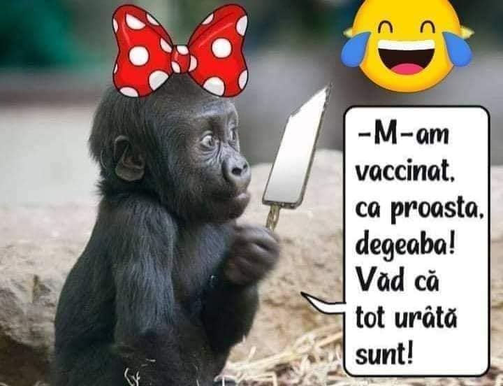 138991433_1062878034230629_106946074758834759_n