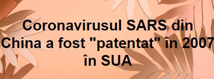 83095293_2619843831578455_8978075167406161920_n