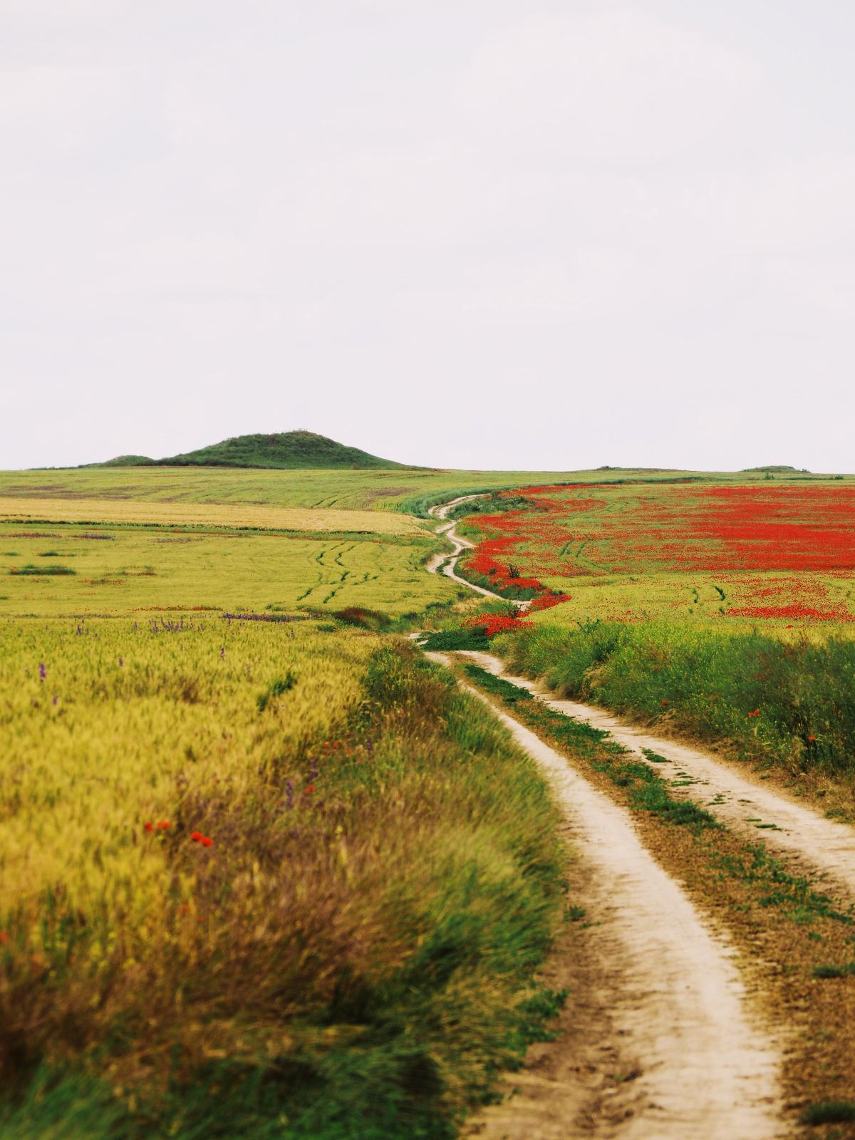 2021-11-07 10.25.18 1-01