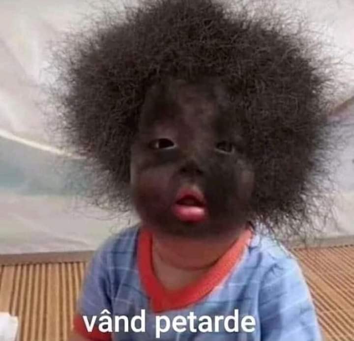 79204424_2667640336613698_7071451275321147392_n