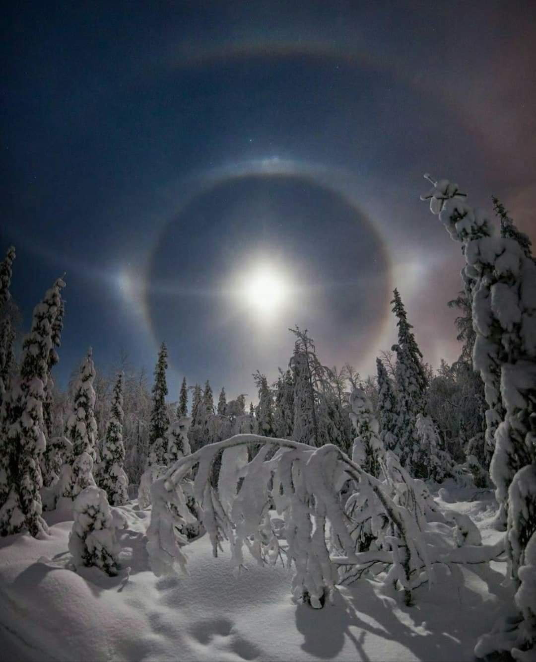 FB_IMG_1638037150737