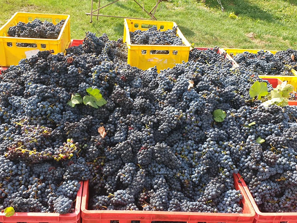 120267970_3269174009846642_5081807351205160786_n