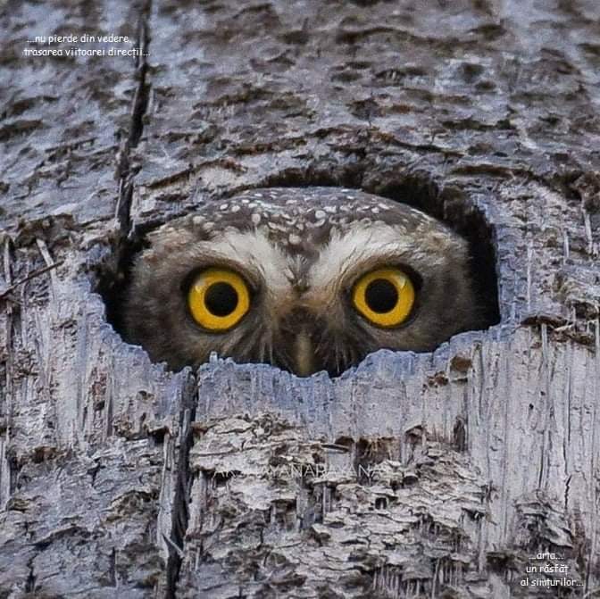 FB_IMG_1637785777437