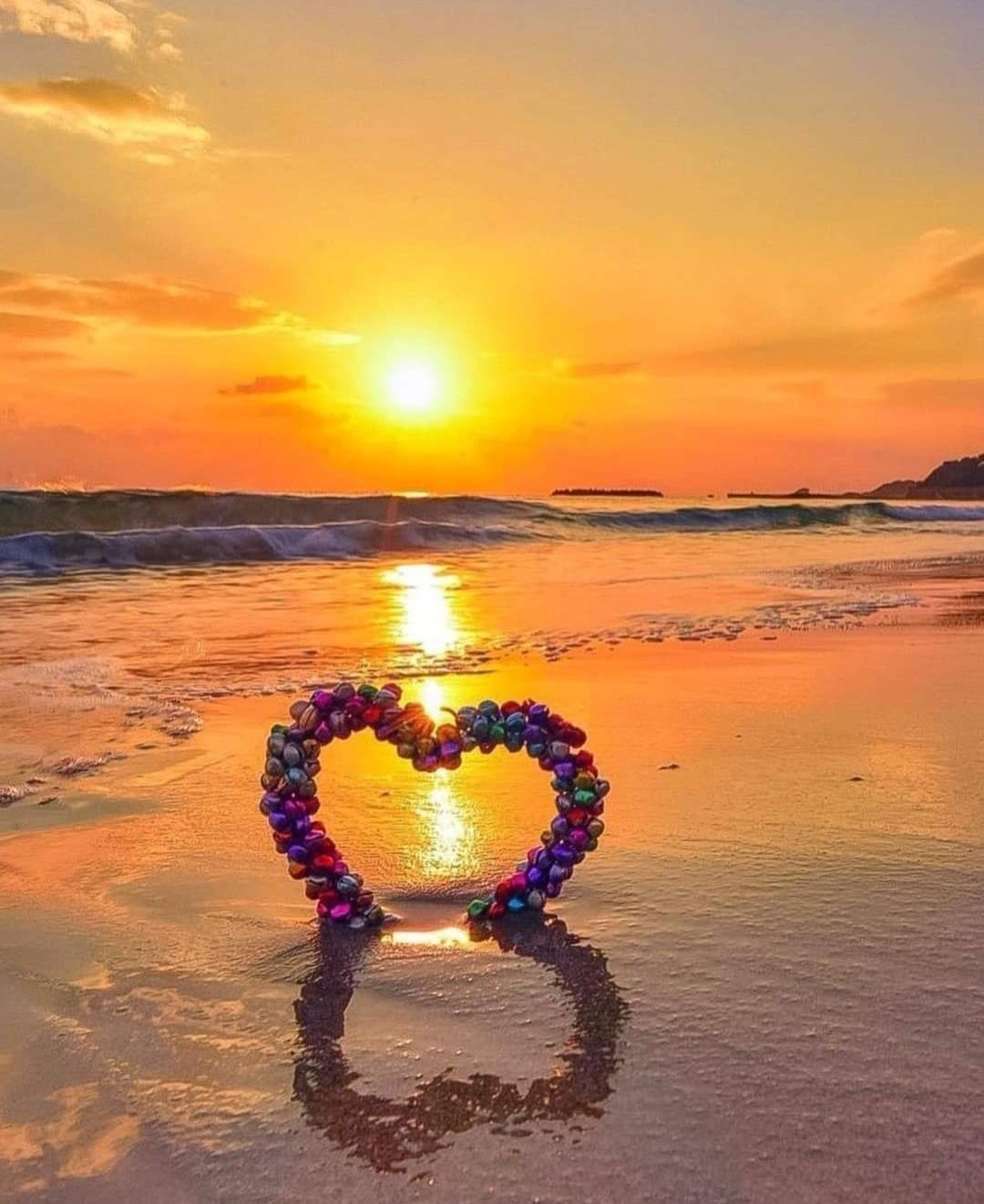 FB_IMG_1637857836351