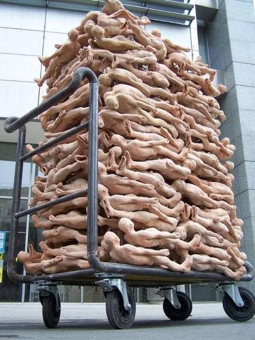 219746077_2608476142779936_7423793038677358102_n