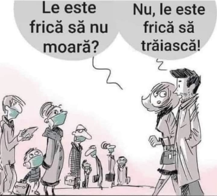 5c7d7b8af1cb711e3681b5350ff625d7_1024