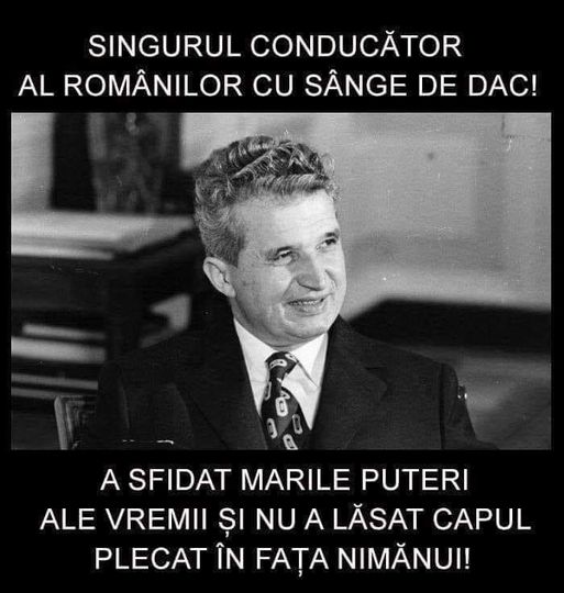 50822307_427004248126520_2043357049286295552_n