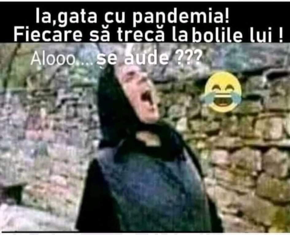 FB_IMG_1637987367260