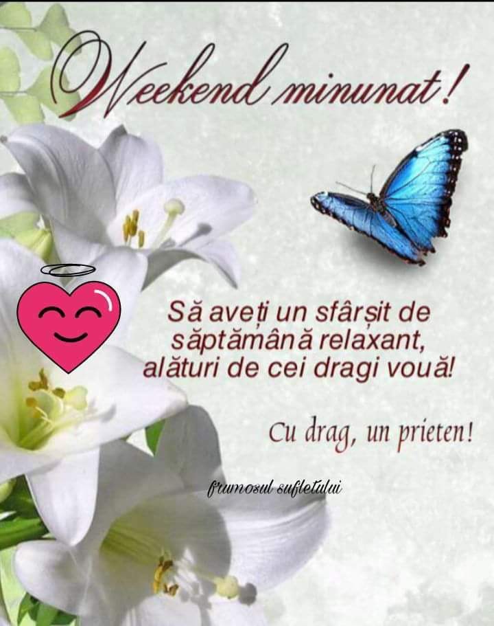 49408035_2237952289815158_4922977349596610560_n