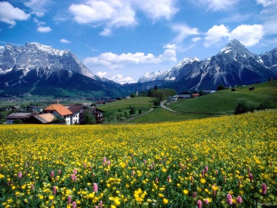 Poze de coperta